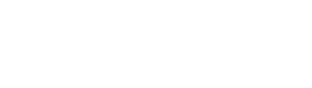 Perplexity-Logo-white